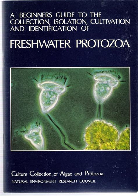 A Beginners Guide To The Collection Isolation Cultivation And Identification Of Freshwater