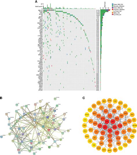 Frontiers Copper Metabolism Patterns And Tumor Microenvironment