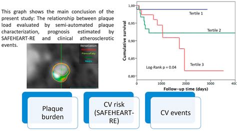 Coronary Plaque Burden Plaque Characterization And Their Prognostic