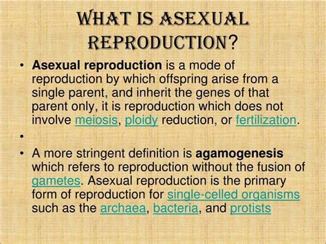 Ppt Asexual Reproduction Powerpoint Presentation Free Download Id3114652