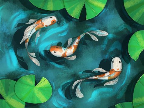 pond drawing 12