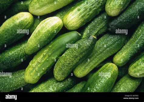 Gurken Cucumber Gherkins Hi Res Stock Photography And Images Alamy