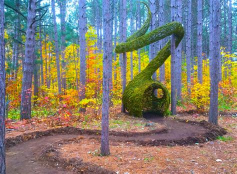 В сердце дерева