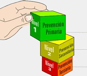 Enfermer A Comunitaria Niveles De Prevenci N