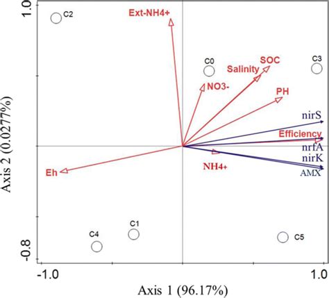 Redundancy Analysis Rda Biplot Representing Relationship Between Download Scientific Diagram