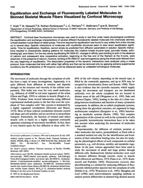 Pdf Equilibration And Exchange Of Fluorescently Labeled Molecules In