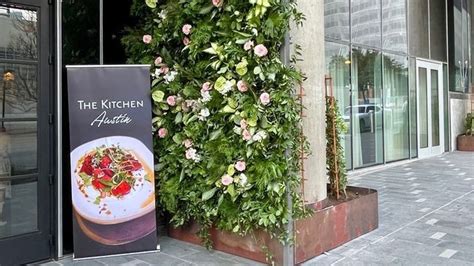 kimbal musk chef  restaurateur brother  elon musk opens austin