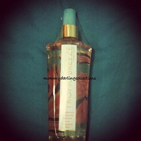 Born To Shop With MDC: Victoria's Secret... Fragrance Mist Brume ...