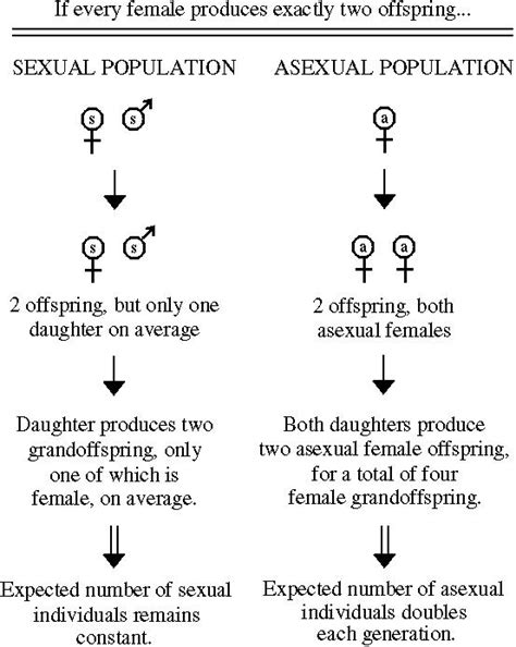 Evolutionary Genetics