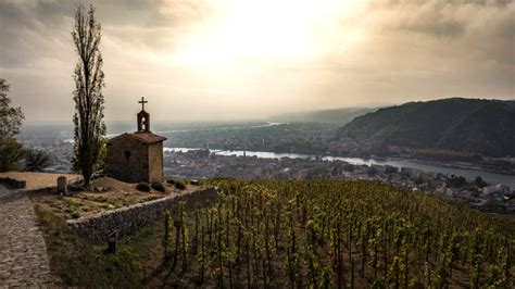 Hermitage AOC, Rhone - French Wine Region