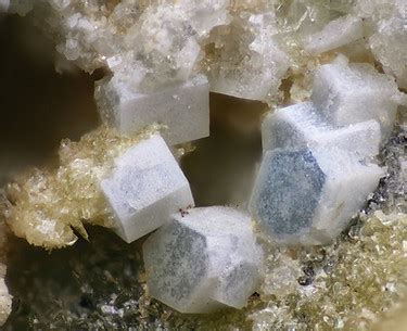 Ингредиенты | Профессиональные БиоТехнологии | Москва