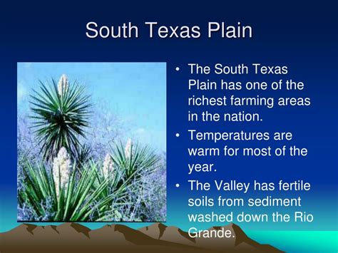 Ppt The Gulf Coastal Plain Region Powerpoint Presentation Free Download Id3037064