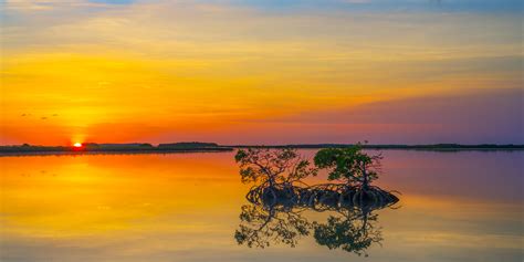 Mangrove Reflection Florida Keys Photos By Joseph C Filer