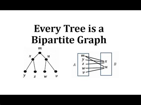 Every Tree Is A Bipartite Graph Youtube