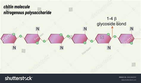 chain molecule biology shape vector stock vector royalty