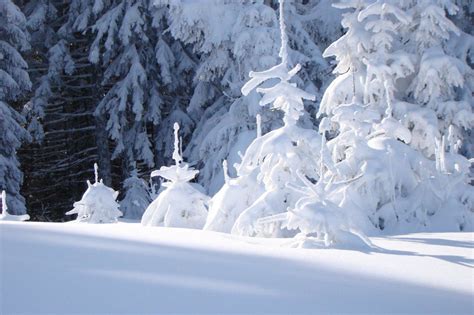 Wetter In Sterreich Wochenende Wird Winterlich Mit Schnee Eis Und Frost