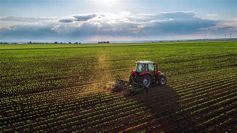 Most Valuable Crops Grown In Mississippi Stacker