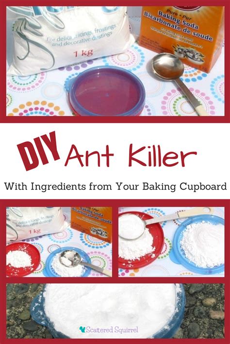 Say 'So Long' to Ants with this Easy DIY Ant Killer - Scattered Squirrel