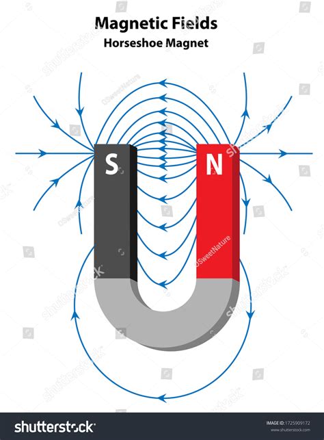 magnetic field  horseshoe magnet