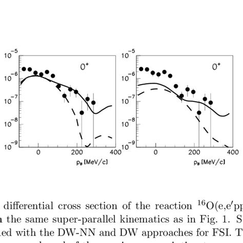 The Differential Cross Section Of The Reaction 16 O E E Pn 14 N To