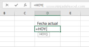 Función HOY en Excel Aprenda Como Usar Ninja del Excel