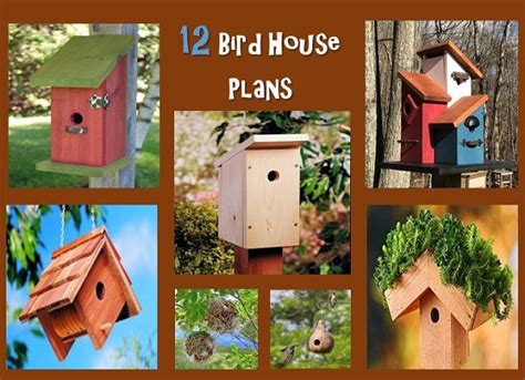 12 Bird House Plans – DIY Garden, Crafts and More