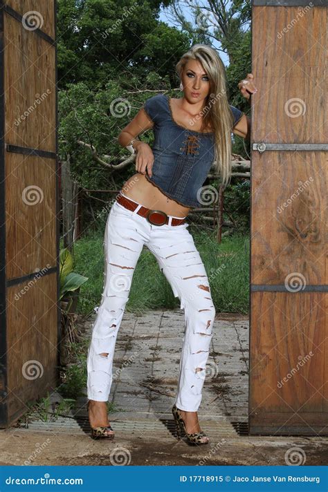 Fille Blonde De Vache Dans Les Trappes Stables Image Stock Image Du Dame Beau