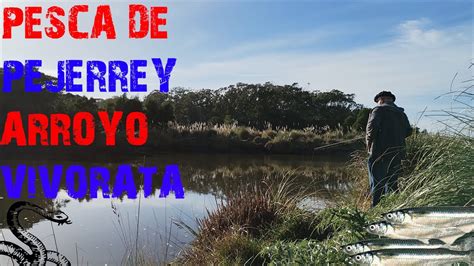 Pesca De Pejerreyes Arroyo Vivorata Mar Chiquita Youtube