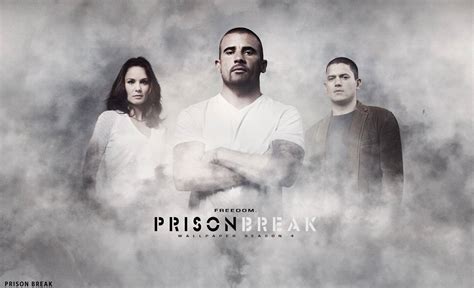 [100+] Prison Break Wallpapers | Wallpapers.com