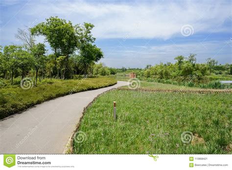 Sinuous Footpath In Riverside Lawn On Sunny Summer Day Stock Image