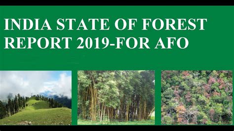 India State Of Forest Report 2019 Important For AFO Mains 2019 YouTube