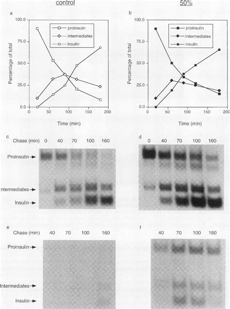 PDF Increased Secretory Demand Rather Than A Defect In The Proinsulin