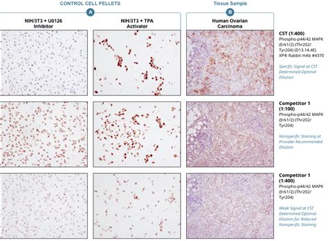 A Method For Combining RNAscope In Situ Hybridization With 52 OFF