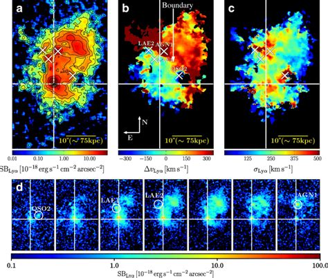 An Example Of Current Large Scale Structures Detected In Ly Around