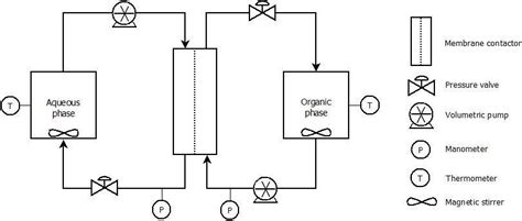 Process Flow Diagram Of The Membrane Assisted Reactive Extraction