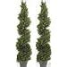 Amazon Two 5 Foot 4 Inch Artificial Cypress Spiral Trees Potted