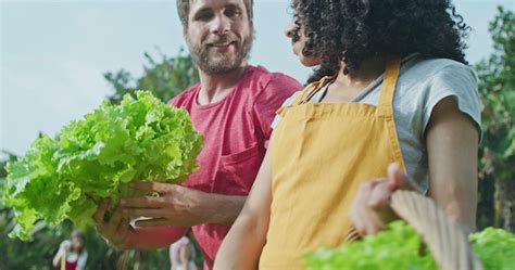 Diversas Pessoas Cultivando Alimentos Na Fazenda Urbana Local Homem