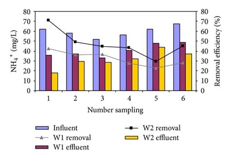 Influence Of Initial NH 4 N Concentration On Effluent And Removal