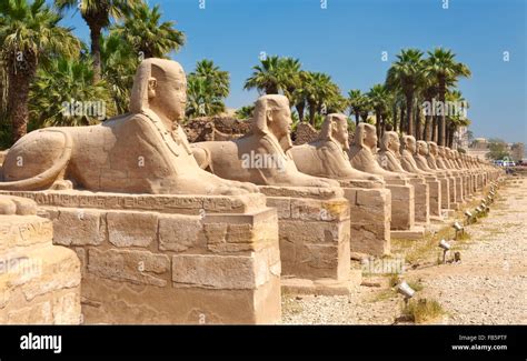 Avenue Of Sphinxes In Luxor Temple Luxor Egypt Stock Photo 92940751