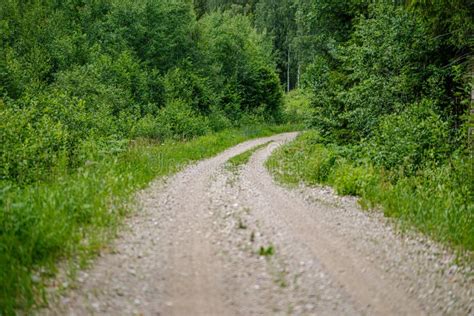 Romantic Gravel Dirt Road In Countryside In Summer Green Evening Stock