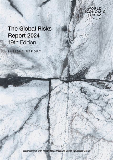 World Economic Forum Global Risks Report Resource Embedding Project