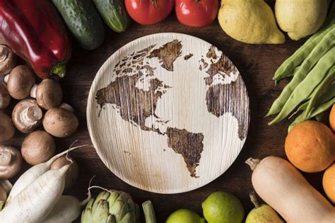 Jak jeść zdrowo i dbać o planetę. Dieta planetarna w praktyce ...