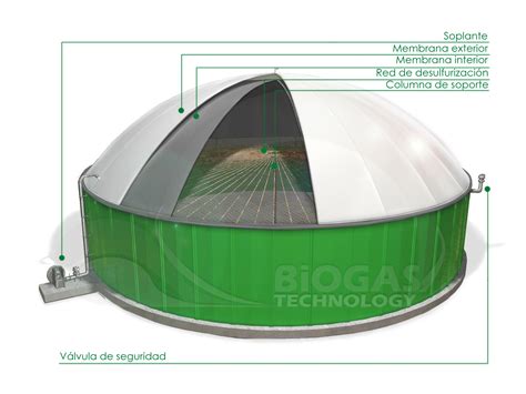 Biogas