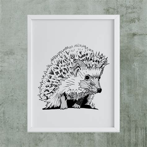 Hedgehog Cute And Cuddly Pen Ink Drawing Black White Digital Etsy