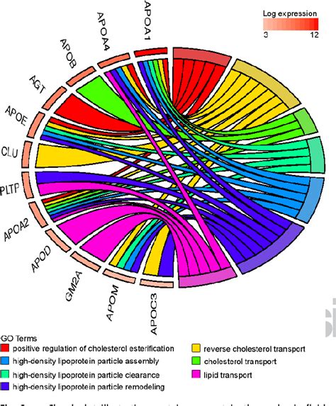 Figure From Rna Seq Reveals Conservation Of Function Among The Yolk