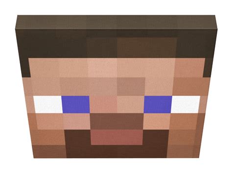 Minecraft Steve Canvas | Minecraft Steve | Steve Face Canvas - Pics On ...