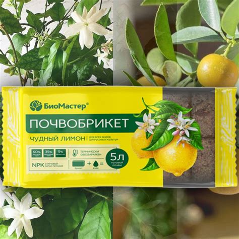 Почвобрикет Биомастер / грунт для выращивания цитрусовых растений 5 ...