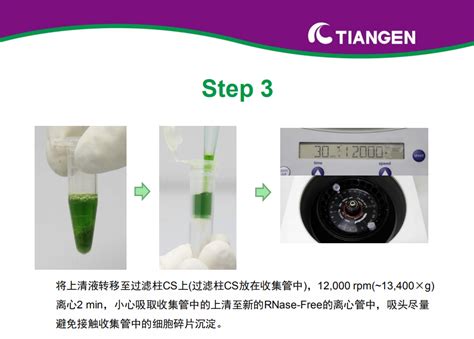 Rnaprep Pure 多糖多酚植物总 Rna 提取试剂盒操作指南（dp441） 丁香实验