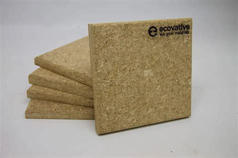 10 Eco Building Materials Revolutionizing Home Construction