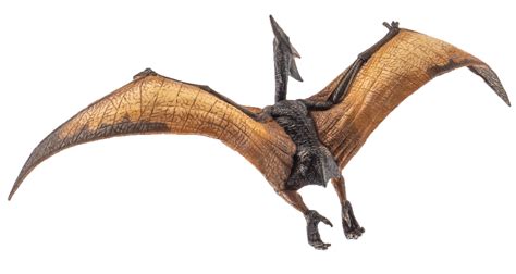 Pteranodon Pterodactyl Dinossauro Em Fundo Branco 8844315 PNG